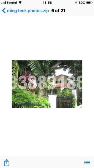 Ming Teck Park (D10), Detached #161878712